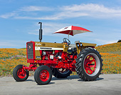 TRA 01 RK0218 01
1970 Farmall 544 Tractor Red With Gold Demonstrator 3/4 Side View On Pavement By Wildflowers