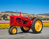 TRA 01 RK0251 01
1948 Massey-Harris 44 GR Tractor Red And Yellow 3/4 Side View On Gravel By Field Of Flowers
