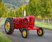 TRA 01 RK0258 01
1953 Massey-Harris 44 Special Tractor Red And Yellow 3/4 Front View On Pavement By Rows Of Trees