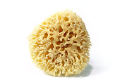 UWC 01 WF0001 01
Bath Sponge On White Seamless