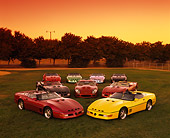 VET 01 RK0412 01
A Group Of Corvette Callaways On Grass By Trees