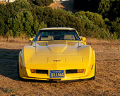 VET 01 RK0465 01
1981 Chevrolet Corvette Yellow Head On Shot On Dry Grass Trees