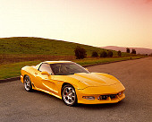 VET 01 RK0542 03
2002 Chevrolet Corvette Z06 Avelate Yellow