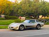 VET 01 RK0887 01
1982 Chevrolet Corvette Collector Edition Silver Beige 3/4 Front View By Trees
