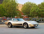 VET 01 RK0888 01
1982 Chevrolet Corvette Collector Edition Silver Beige 3/4 Front View By Trees