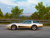 VET 01 RK0889 01
1982 Chevrolet Corvette Collector Edition Silver Beige Profile View By Trees