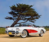 VET 02 RK0374 01
1958 Chevrolet Corvette White With Red Coves 3/4 Front View On Sand By Tree
