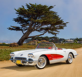 VET 02 RK0375 01
1958 Chevrolet Corvette White With Red Coves 3/4 Front View On Sand By Tree