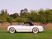VET 02 RK0327 01
1953 Chevrolet Corvette Convertible White Profile View On Grass By Trees