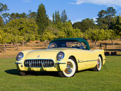 VET 02 RK0330 01
1955 Chevrolet Corvette Convertible Yellow 3/4 Front View On Grass By Trees