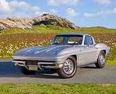 VET 03 BK0001 01
1964 Chevrolet Corvette Gray 3/4 Front View On Pavement By Field Of Wildflowers