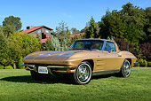 VET 03 RK0800 01
1963 Chevrolet Corvette Saddle Tan 3/4 Front View On Grass By Trees