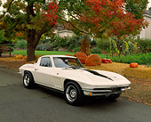 VET 03 RK0314 04
1966 Chevrolet Corvette Stingray White Front 3/4 View On Pavement By Fall Trees And Pumpkins