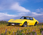 VET 03 RK0349 03
1969 Chevrolet Corvette Stingray Yellow Low 3/4 Front View In Flower Field