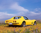 VET 03 RK0356 01
1969 Chevrolet Corvette Stingray Yellow 3/4 Rear View On Flower Field