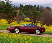 VET 04 RK0002 04
1993 Chevrolet Corvette Anniversary Edition Burgundy 3/4 Front View On Pavement By Yellow Flowers