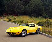 VET 05 RK0122 02
1976 Chevrolet Corvette Stingray Yellow 3/4 Front View On Pavement By Bushes