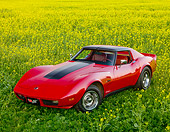 VET 05 RK0196 01
1976 Chevrolet Corvette Stingray Red And Black 3/4 Front View In Field Of Yellow Wildflowers