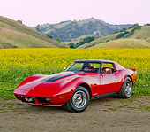 VET 05 RK0198 01
1976 Chevrolet Corvette Stingray Red And Black 3/4 Front View In Field Of Yellow Wildflowers