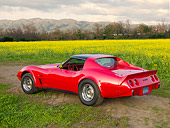VET 05 RK0200 01
1976 Chevrolet Corvette Stingray Red And Black 3/4 Rear View By Field Of Yellow Wildflowers