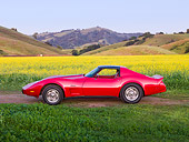 VET 05 RK0203 01
1976 Chevrolet Corvette Stingray Red And Black Profile View By Field Of Yellow Wildflowers