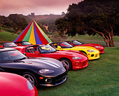 VIP 03 RK0033 02
Group of Dodge Vipers Parked On Grass In A Row