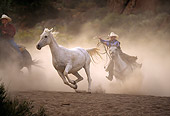 WRG 01 RK0104 03
Wranglers Gathering Up Horses In Dust
