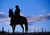 WRG 01 RK0190 01
Silhouette Shot Of Wrangler On Horse Blue Sky At Dusk