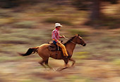 WRG 01 RK0225 08
Wrangler Bert Riding On Horse Profile Blurry Field