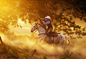 WRG 01 RK0283 06
Profile Of Wrangler Lassoing Horse By Trees Dusty