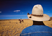 WRG 02 RK0031 04
Rear Head Shot Of Wrangler Looking Out To Wrangler On Horse Blue Sky