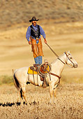 WRG 02 RK0061 02
Wrangler Standing On Horse On Dry Grass